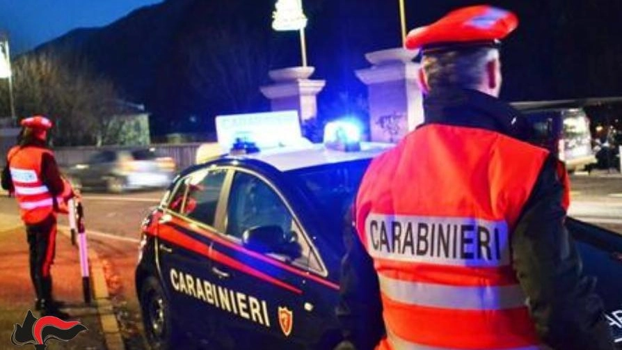 Carabinieri in azione Carabinieri in azione