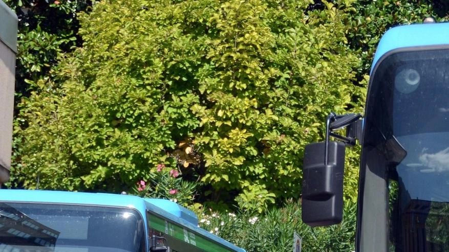 Studenti salgono su un bus a Lecco