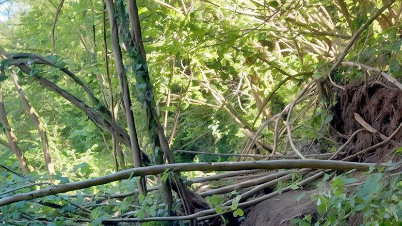 Riaperto il sentiero ecologico utilizzato da molti pedoni e ciclisti. Era stato chiuso a maggio del 2024 a causa di...