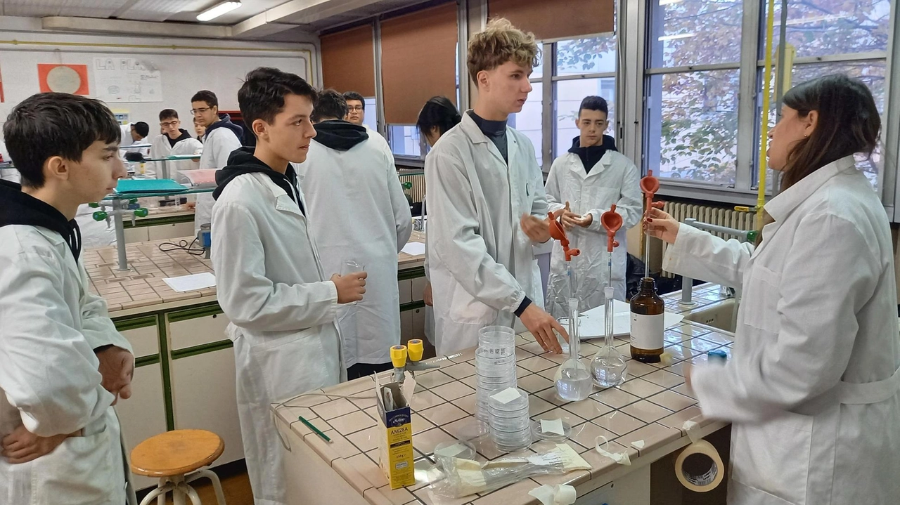 Gli studenti dell’Erasmo da Rotterdam impegnati nel laboratorio di chimica Gli studenti dell’Erasmo da Rotterdam impegnati nel laboratorio di chimica