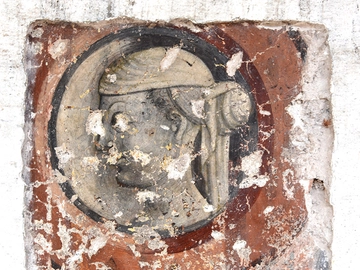 immagine articolo