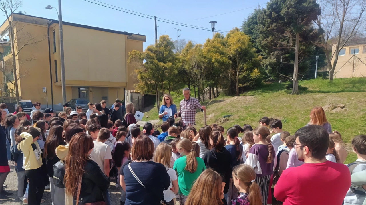 Le essenze sono state posizionate tra la primaria e la secondaria e sulla sponda di fianco alla palestra Le essenze sono state posizionate tra la primaria e la secondaria e sulla sponda di fianco alla palestra
