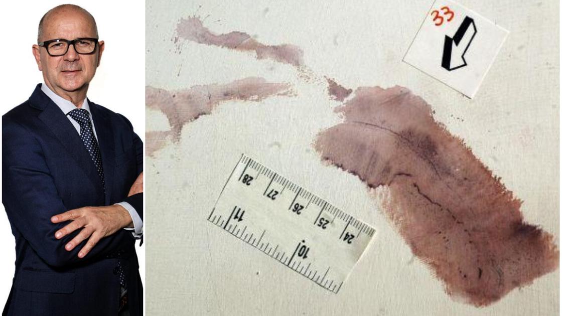 Giallo di Garlasco, i segreti dell’impronta 33. Il genetista di Stasi: “Fare nuovi accertamenti” Giallo di Garlasco, i segreti dell’impronta 33. Il genetista di Stasi: “Fare nuovi accertamenti”