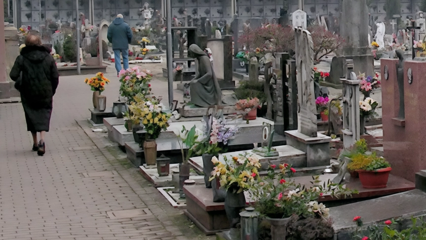 Addio al cimitero acquitrino ad Agrate, in estate cominceranno i lavori anti-infiltrazione e per la raccolta delle acque piovane: 400mila... Addio al cimitero acquitrino ad Agrate, in estate cominceranno i lavori anti-infiltrazione e per la raccolta delle acque piovane: 400mila...