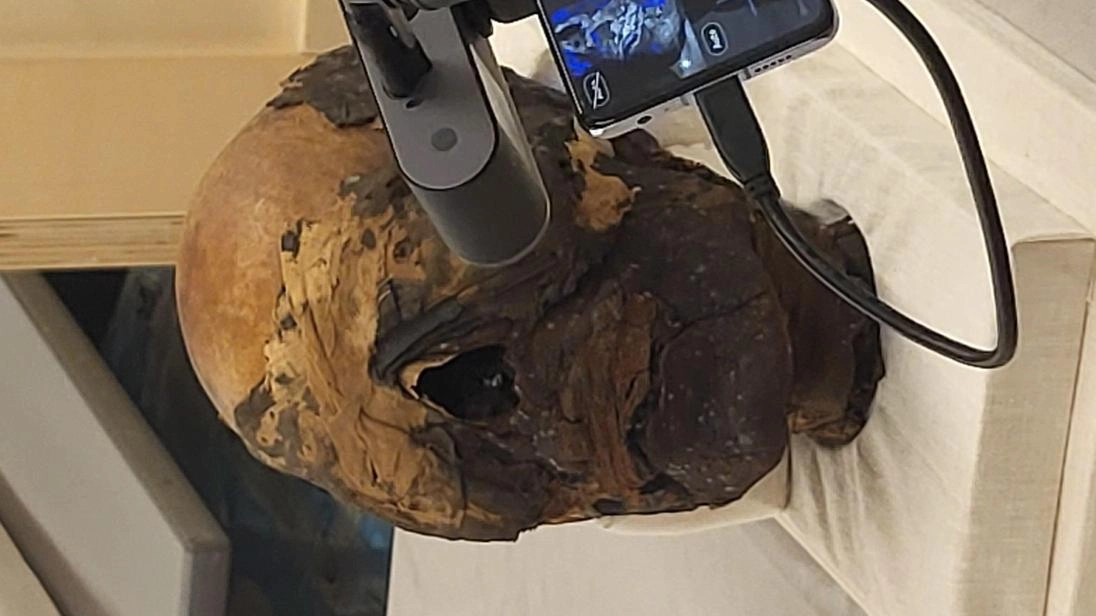 Tornerà visibile dopo duemila anni il volto della mummia custodita al Museo Civico di Erba. Il reperto risale alla XXX... Tornerà visibile dopo duemila anni il volto della mummia custodita al Museo Civico di Erba. Il reperto risale alla XXX...