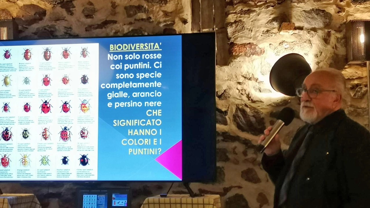 Paride Dioli è senior researcher del museo di Storia naturale di Milano Paride Dioli è senior researcher del museo di Storia naturale di Milano