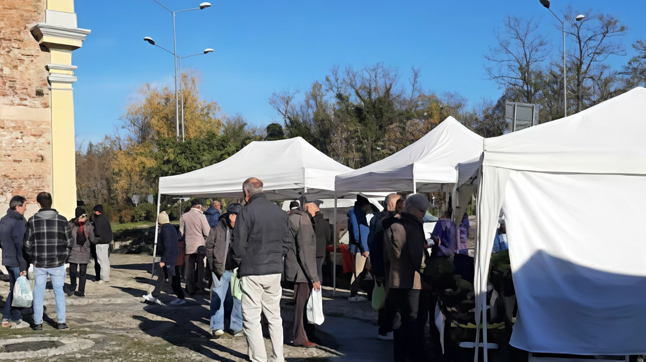 Il Mercato contadino torna in piazza Chiesa Colorina. Dalle 9 alle 13, la Piazza Chiesa Colorina di Nerviano ospiterà una... Il Mercato contadino torna in piazza Chiesa Colorina. Dalle 9 alle 13, la Piazza Chiesa Colorina di Nerviano ospiterà una...