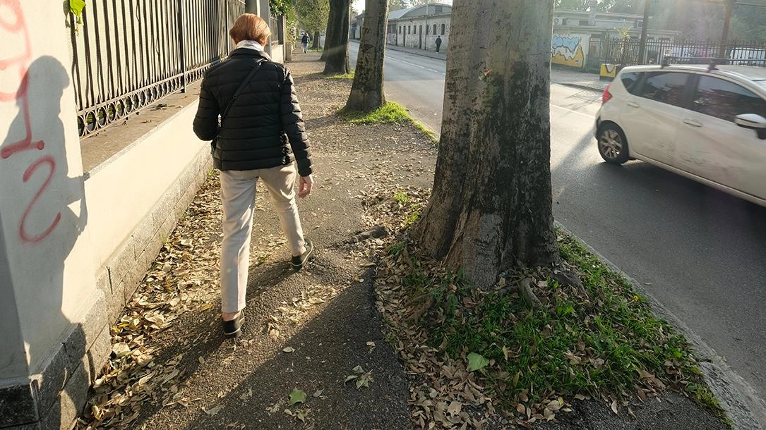 Cresce l’attesa per l’ascensore dell’Arengario progettato dall’archistar Stefano Boeri. Intanto sono in programma i lavori destinati alla riqualificazione di strade e marciapiedi. Cresce l’attesa per l’ascensore dell’Arengario progettato dall’archistar Stefano Boeri. Intanto sono in programma i lavori destinati alla riqualificazione di strade e marciapiedi.