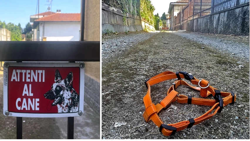La strada della casa a Busto Arsizio dove un bambino di 11 mesi è stato azzannato da un Bull Terrier La strada della casa a Busto Arsizio dove un bambino di 11 mesi è stato azzannato da un Bull Terrier
