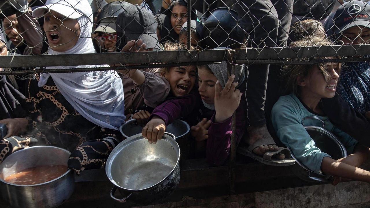 Lo spiega il rapporto presentato da Kallas sulla guerra a Gaza Lo spiega il rapporto presentato da Kallas sulla guerra a Gaza