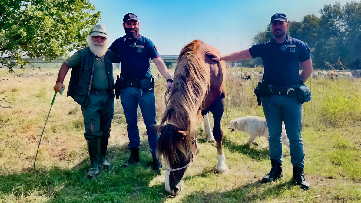 I poliziotti con l’allevatore Domenico Filippo e la cavalla Stella I poliziotti con l’allevatore Domenico Filippo e la cavalla Stella