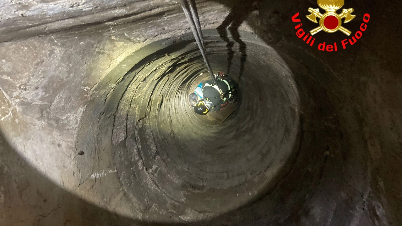 I vigili del fuoco si sono calati nel pozzo e hanno recuperato il micio I vigili del fuoco si sono calati nel pozzo e hanno recuperato il micio