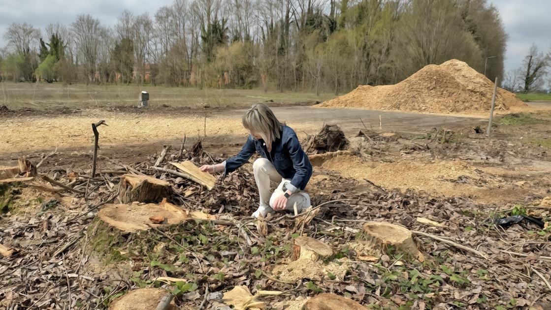 "Nasceranno camini alti come palazzi di sei piani" "Nasceranno camini alti come palazzi di sei piani"