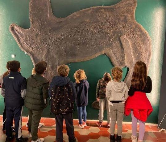 sguardo alla preistoria con due serate al museo dei fossili di besano