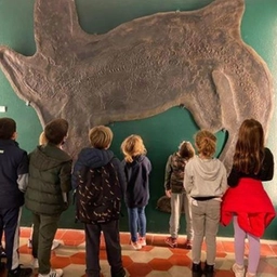 Sguardo alla Preistoria con due serate al museo dei fossili di Besano
