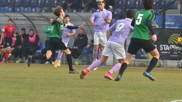 I lilla stanno disputando le partite casalinghe a Caronno Pertusella Potrebbero tornare al Mari domenica 24 novembre I lilla stanno disputando le partite casalinghe a Caronno Pertusella Potrebbero tornare al Mari domenica 24 novembre