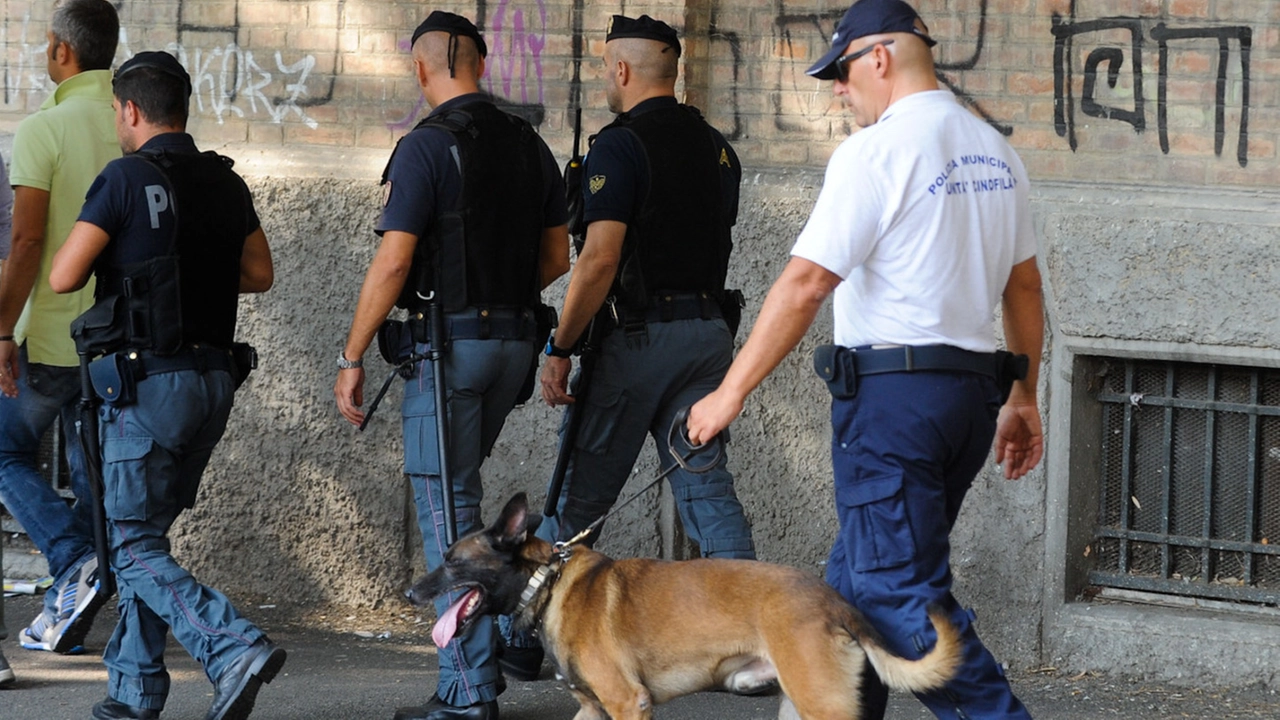 Un servizio antidroga della polizia in Bolognina Un servizio antidroga della polizia in Bolognina