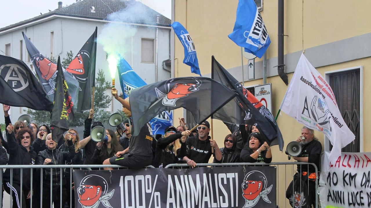 Il Palio dell'oca a Lacchiarella si conclude con successo ma anche scontri tra animalisti e cittadini difensori della tradizione. Momenti di tensione durante la corsa delle oche, con lancio di bottiglie ma nessun ferito grazie all'intervento della polizia. Il Palio dell'oca a Lacchiarella si conclude con successo ma anche scontri tra animalisti e cittadini difensori della tradizione. Momenti di tensione durante la corsa delle oche, con lancio di bottiglie ma nessun ferito grazie all'intervento della polizia.