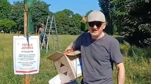 Lotta agli insetti al parco della Porada Lotta agli insetti al parco della Porada