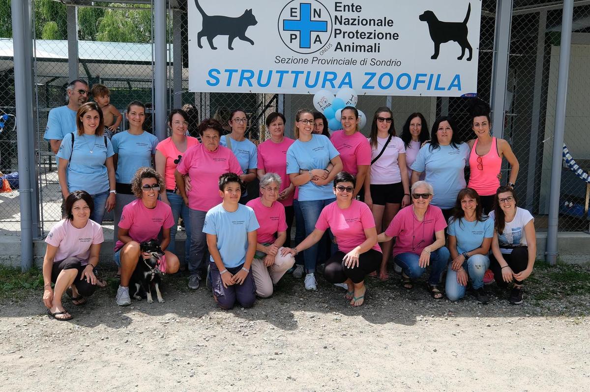 Sondrio, canile “dimezzato” per i rumori: ordinanza sospesa Sondrio, canile “dimezzato” per i rumori: ordinanza sospesa