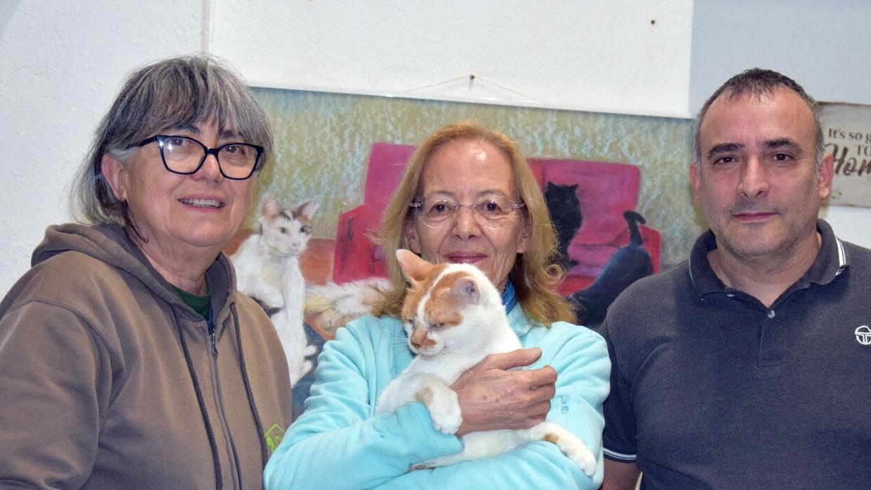 Da sinistra Elisabetta Mascheroni Gemma Caspani e Simone Riva, il Turista spazzino che ha inciso una canzone per Miagolandia il rifugio per gatti di Mediglia