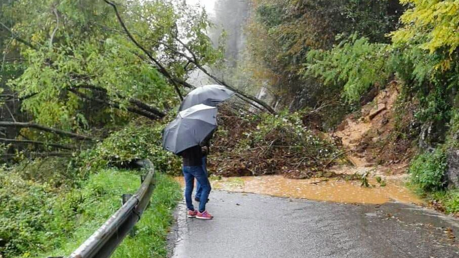 A Colzate il crollo sulla strada di San Patrizio blocca trecento residenti. Rinforzati gli sbarramenti contro chi si mette in pericolo per un video. A Colzate il crollo sulla strada di San Patrizio blocca trecento residenti. Rinforzati gli sbarramenti contro chi si mette in pericolo per un video.