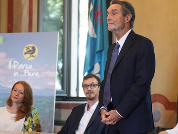 immagine articolo