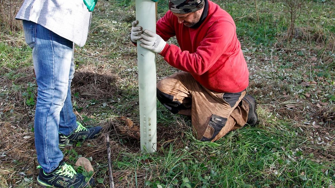 Un impegno di spesa di 200mila euro per la manutenzione straordinaria del verde pubblico, per la stagione invernale. La... Un impegno di spesa di 200mila euro per la manutenzione straordinaria del verde pubblico, per la stagione invernale. La...