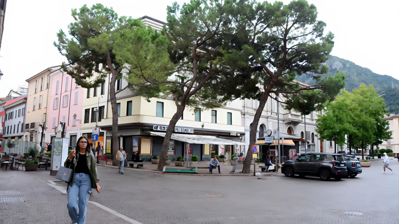 Con le loro radici contorte danneggiavano la pavimentazione di quell’angolo caratteristico della piazza Con le loro radici contorte danneggiavano la pavimentazione di quell’angolo caratteristico della piazza