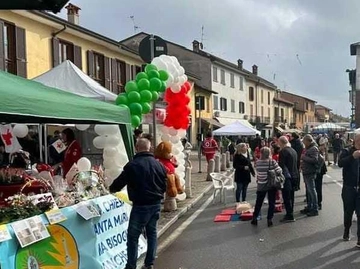 immagine articolo