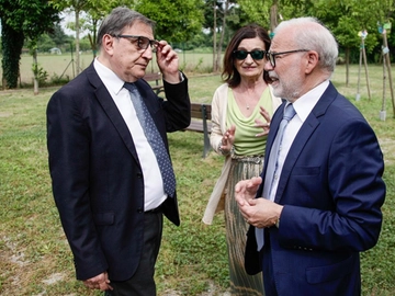 immagine articolo