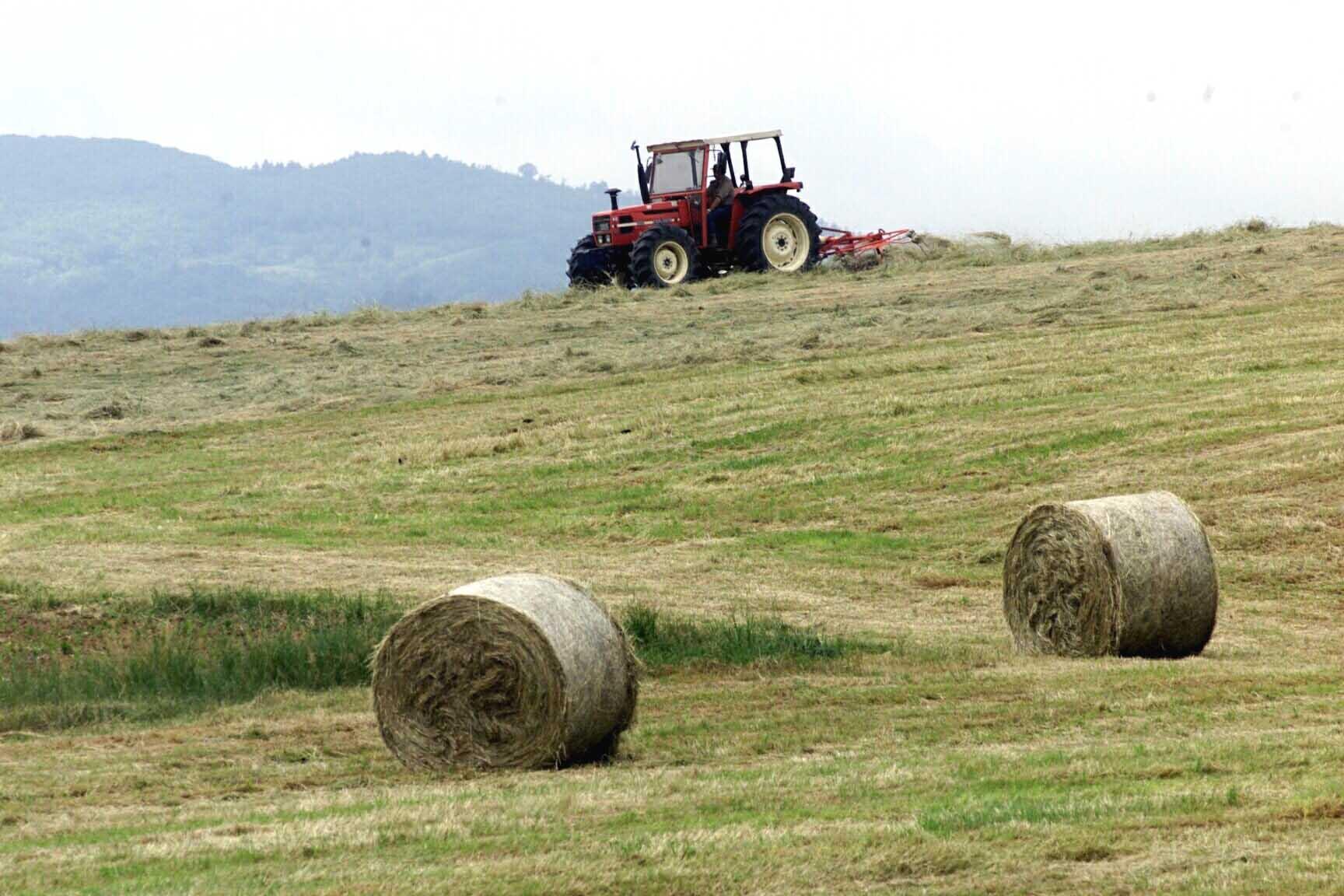 gambol242 furto in azienda agricola rubato trattore con seminatrice al traino