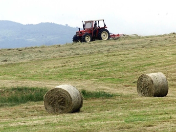 immagine articolo