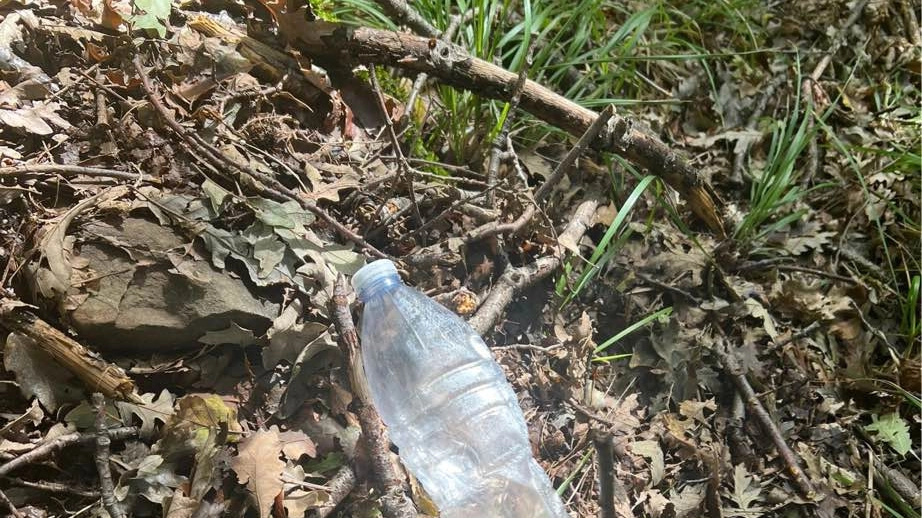 Una bottiglia di plastica in una foto di archivio