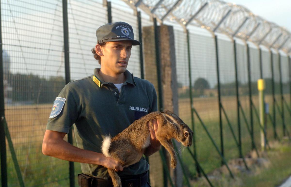Spari al parco a San Giuliano, abbattute lepri e nutrie: “I cittadini non sono stati informati”