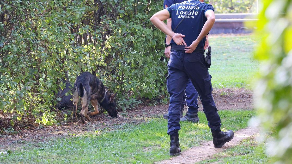 rifiuti spaccio di droga alcolici intervenite al parco tarello