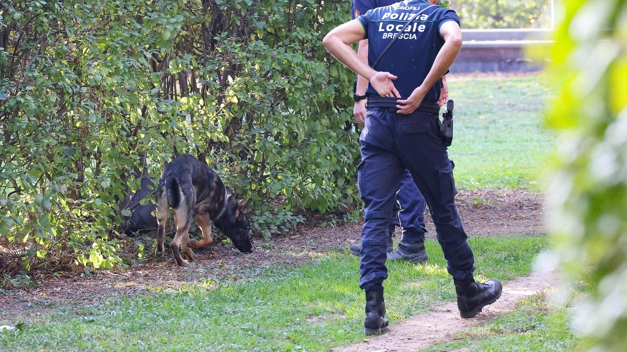 Un controllo di una pattuglia della polizia locale al parco Tarello con l’unità cinofila La scorsa estate i pattuglioni nell’area verde sono stati 45 Un controllo di una pattuglia della polizia locale al parco Tarello con l’unità cinofila La scorsa estate i pattuglioni nell’area verde sono stati 45