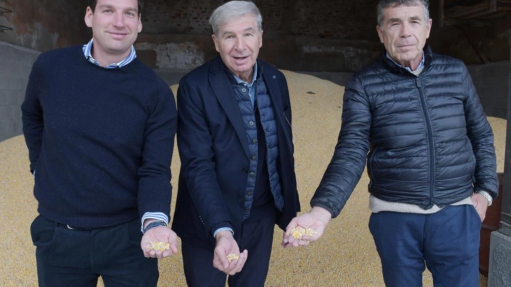 Azienda Folli: da 11 anni è uno strumento innovativo per superare le sfide Azienda Folli: da 11 anni è uno strumento innovativo per superare le sfide