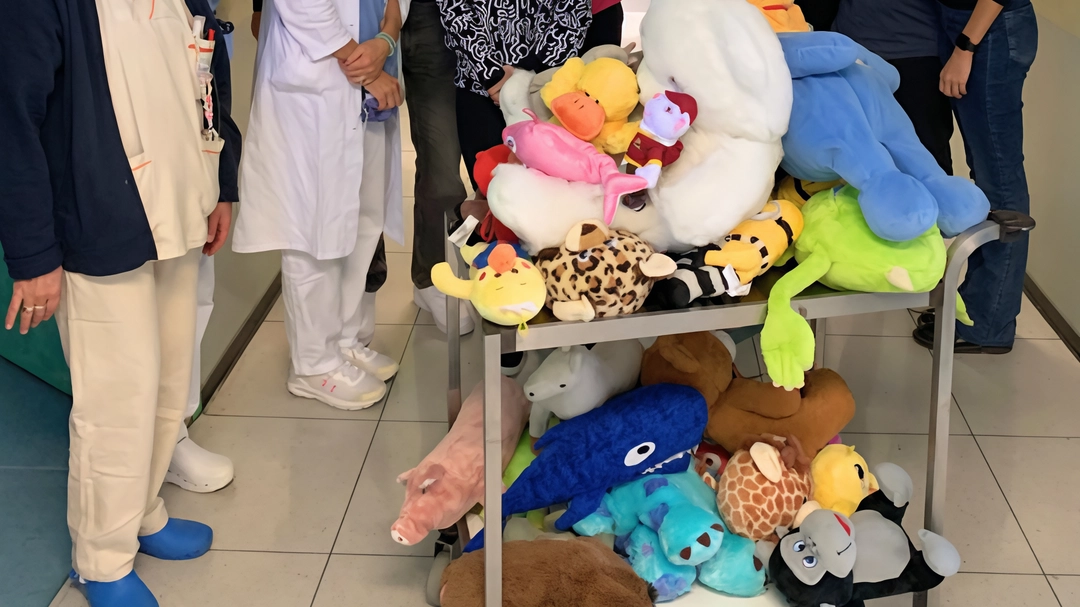 Organizzata la Teddy Bear Toss brianzola prima della gara, i giocatori hanno portato 12 sacchi in dono Organizzata la Teddy Bear Toss brianzola prima della gara, i giocatori hanno portato 12 sacchi in dono