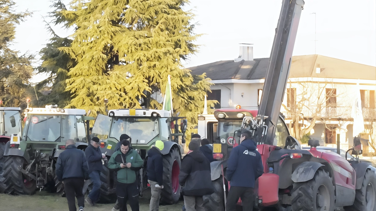 Una richiesta di sostegno alla lotta che gli agricoltori stanno portando avanti arriverà in consiglio comunale a Pavia. Il sindaco... Una richiesta di sostegno alla lotta che gli agricoltori stanno portando avanti arriverà in consiglio comunale a Pavia. Il sindaco...