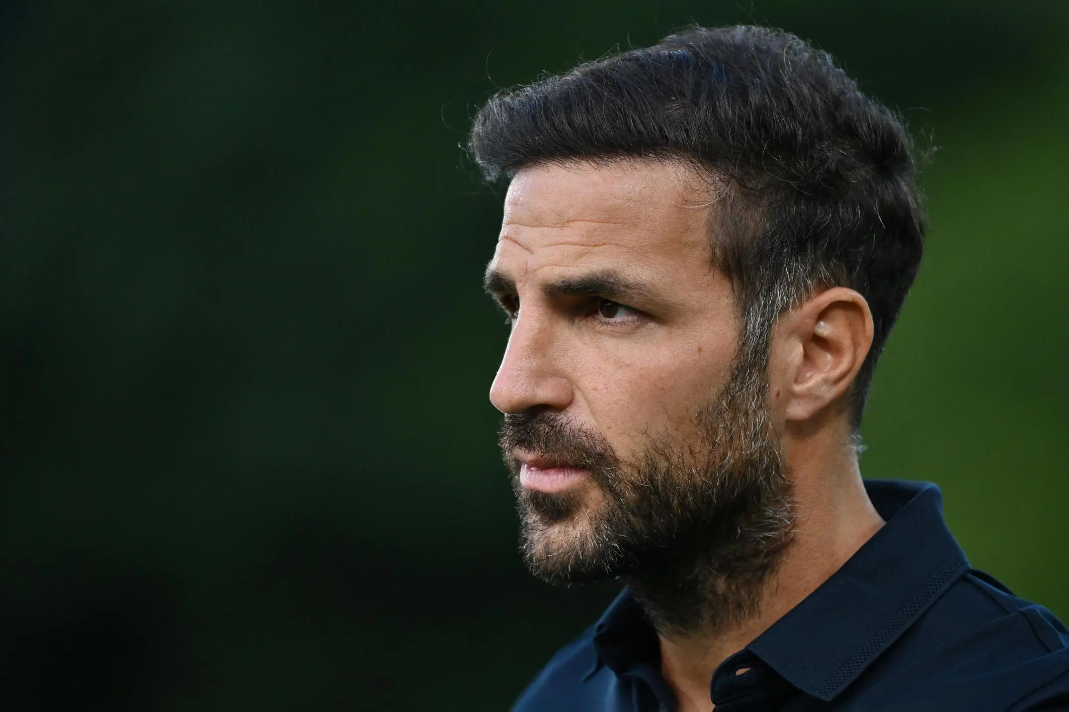 Oggi pomeriggio al Dall’Ara. Como a Bologna, sfida da “grande“. Fabregas: "Esame per tutti noi»
