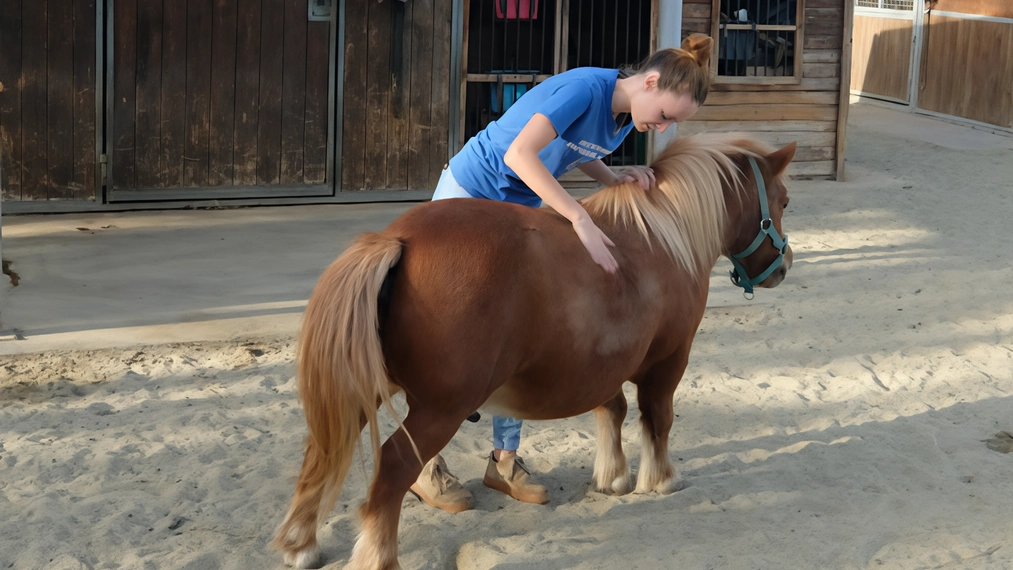 Al rifugio di via San Damiano g estito dalla sezione di Monza dell’Enpa trovano affetto e cure anche animali di grossa taglia Al rifugio di via San Damiano g estito dalla sezione di Monza dell’Enpa trovano affetto e cure anche animali di grossa taglia