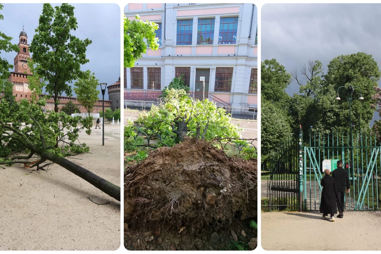 Piante cadute nella zona del Castello. Nell'ultima immagine a destra, i cancelli chiusi del Parco Sempione