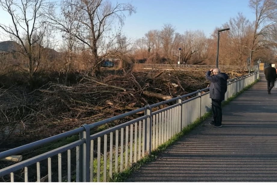 Le piante tagliate il 7 marzo lungo il Lambro in via Pienza