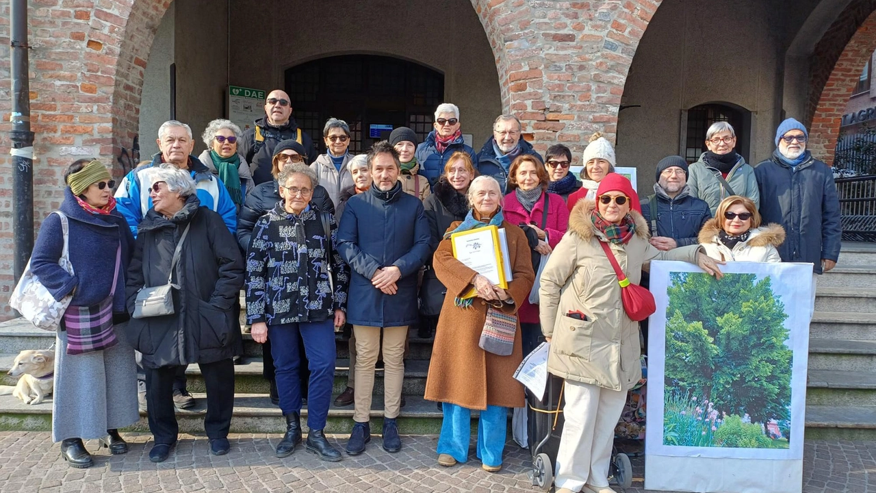 "Sì al restyling della piazza, no all’abbattimento delle piante che oggi vi si affacciano". Formato da diverse associazioni del... "Sì al restyling della piazza, no all’abbattimento delle piante che oggi vi si affacciano". Formato da diverse associazioni del...