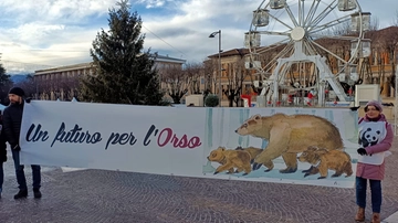 Orsa Amarena: processo rinviato, ecco perché. Il sit-in degli animalisti
