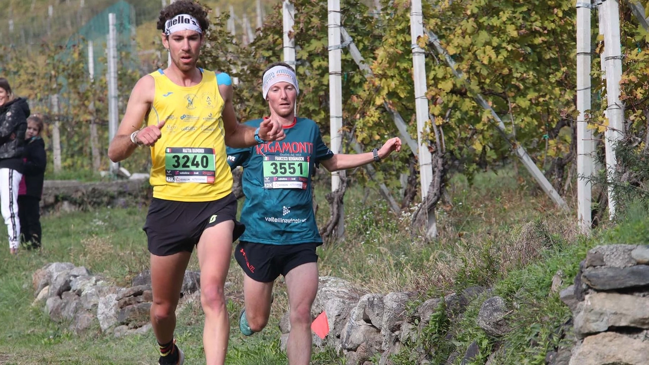 Sono tre i differenti tracciati sui terrazzamenti. Al via della Valtellina Wine Trail ci saranno 3.600 atleti Sono tre i differenti tracciati sui terrazzamenti. Al via della Valtellina Wine Trail ci saranno 3.600 atleti