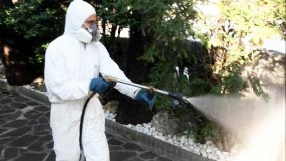 dengue caso sospetto a monza scatta la disinfestazione straordinaria da Ilgiorno.it dengue caso sospetto a monza scatta la disinfestazione straordinaria