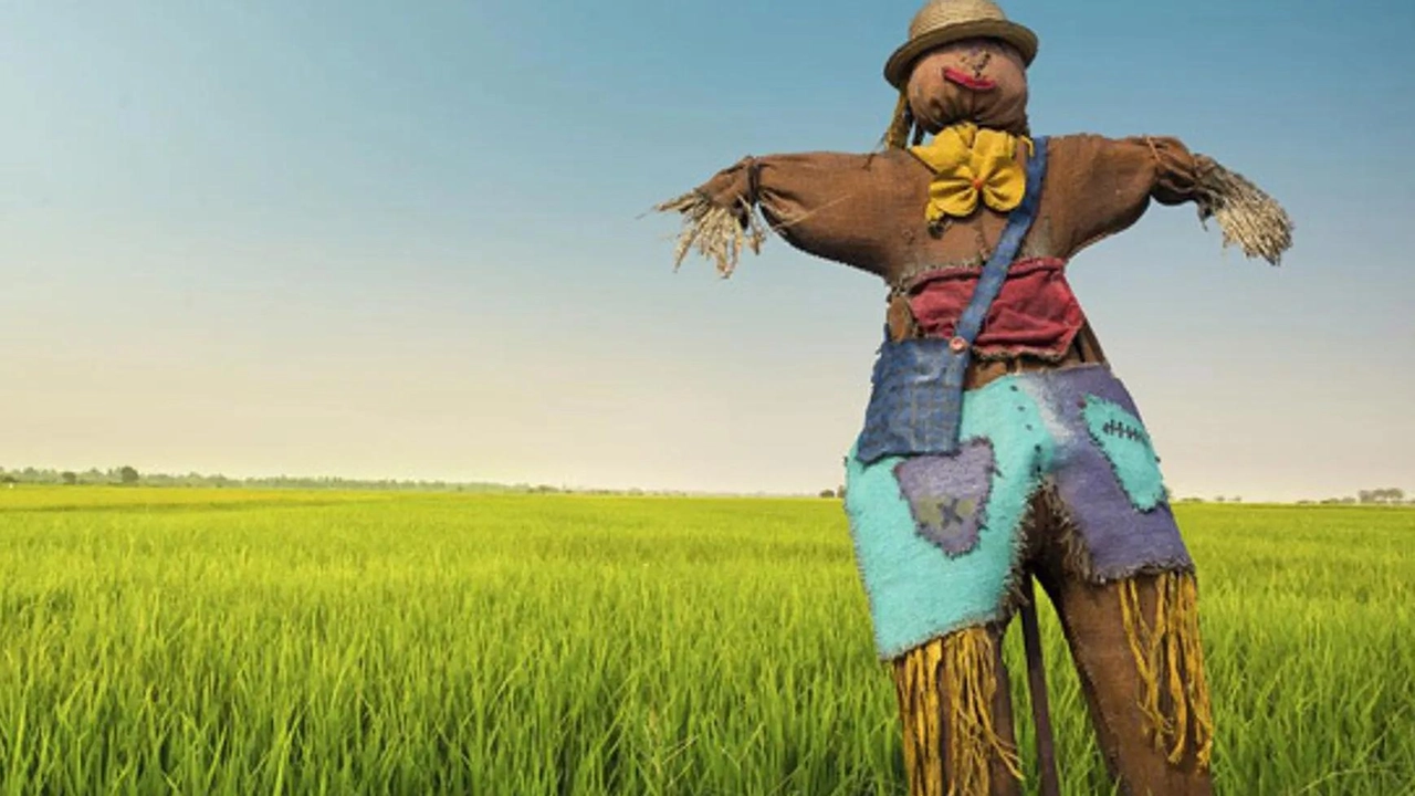 Gli spaventapasseri fanno parte della cultura agricola e contadina. A loro è dedicata una rassegna