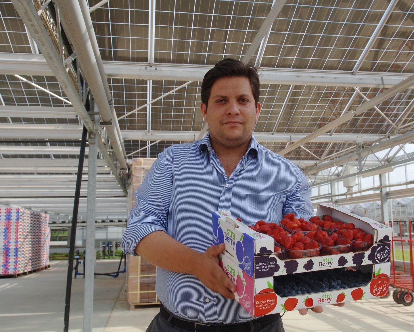 caso straberry chiesti 7 anni per il fondatore braccianti sfruttati e insultati pagati 4 euro all8217ora e non avevano servizi igienici